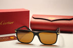 Cartier Black Edition – Matte Frame Sunglasses with Gold Detailing